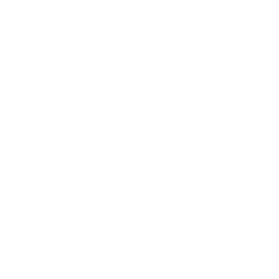 Pet Orthopedic Surgery