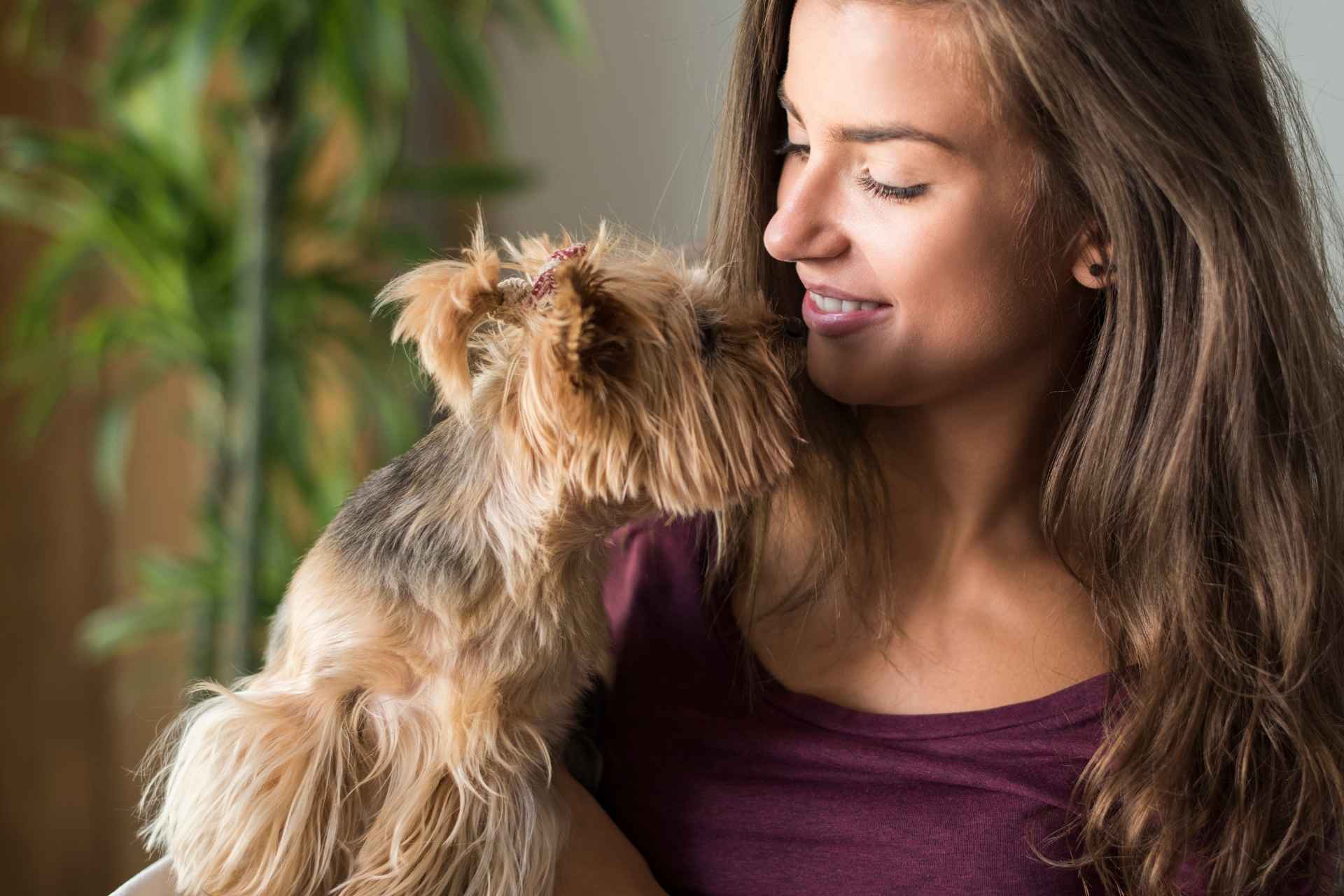 holding a small dog while sitting on a couch