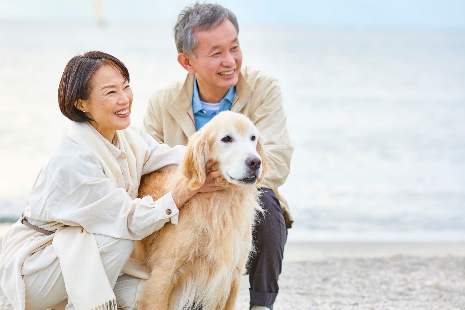 A couple with a golden retriever on the beach