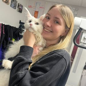 a doctor holding a white cat in an office