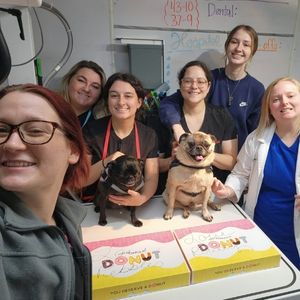 group of doctors and pet