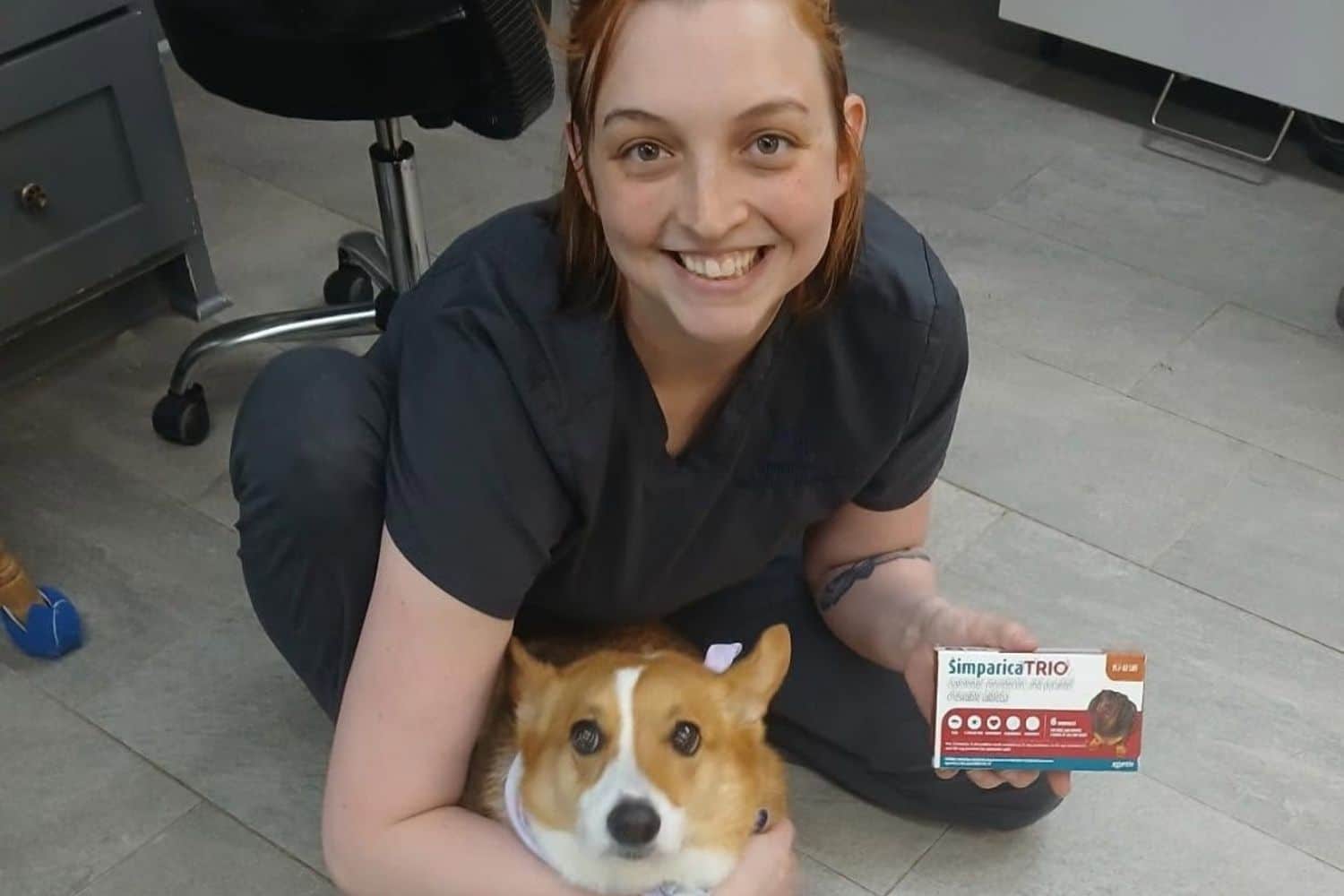 a vet staff hugs a corgi puppy and holds a Simparica TRIO leaflet